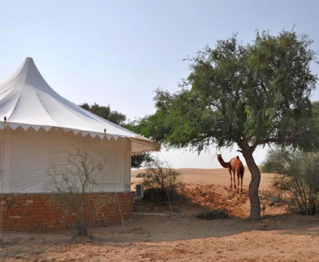 Wild Heritage Desert Camp Hotel Jaisalmer Buitenkant foto